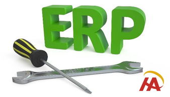 企业需求与ERP存在差异,应该遵循什么原则和步骤完成选型
