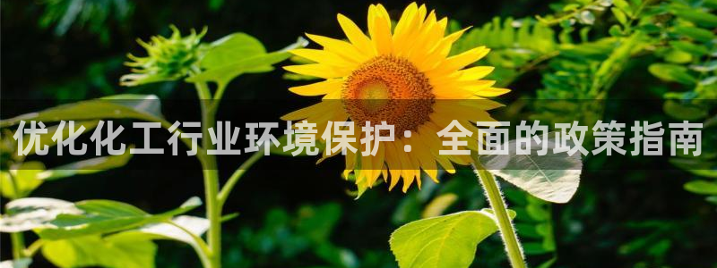 亿万先生现在的网址谁知道是真的:优化化工行业环境保护:全面的政策指南