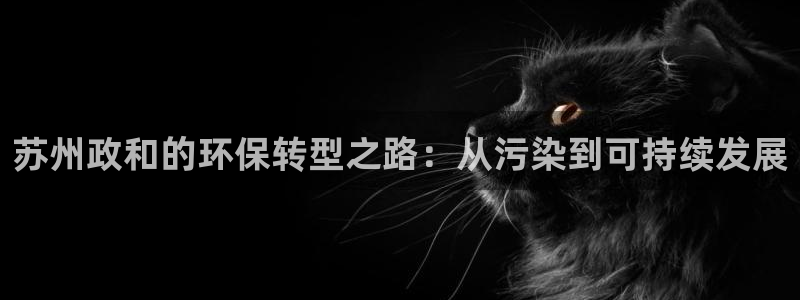 亿万先生mr008:苏州政和的环保转型之路:从污染到可持续发展